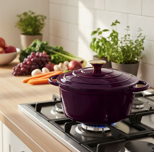 Hage Round Cast Iron Dutch Oven 26cm 5lt