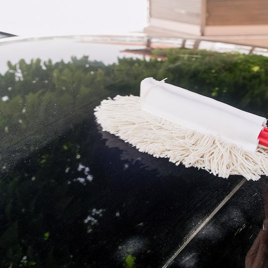 Cartech Duster Cleaning for Interior Plastics - Dashboard Car