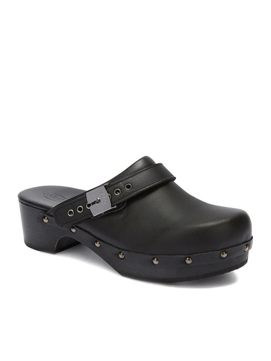 Scholl