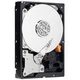 Western Digital AV-GP 500GB SATA II