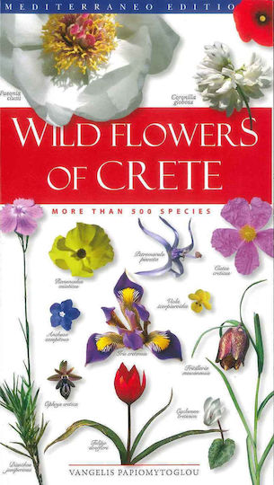 Wild Flowers of Crete