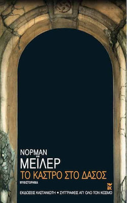 Το Κάστρο στο Δάσος, Novel