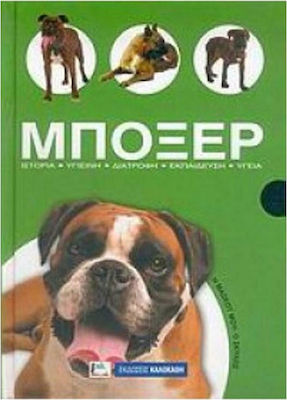 Μπόξερ, Ιστορία, υγιεινή, διατροφή, εκπαίδευση, υγεία