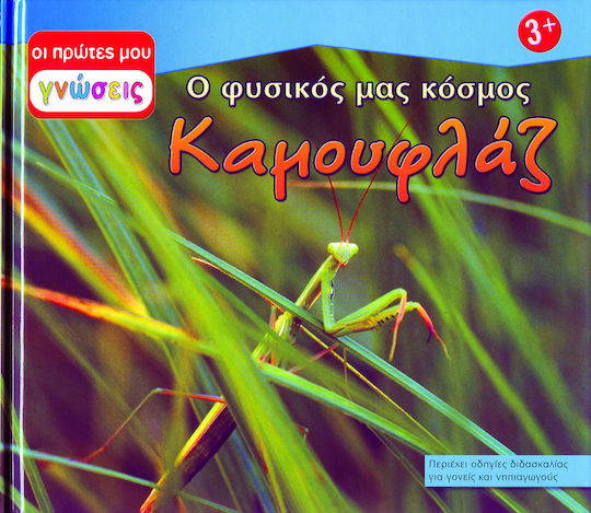 Καμουφλάζ, Ο φυσικός μας κόσμος