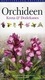 Orchideen, Kreta und der Dodekanes: Die Orchideenflora der Inseln Kreta, Kasos, Karpathos und Rhodos