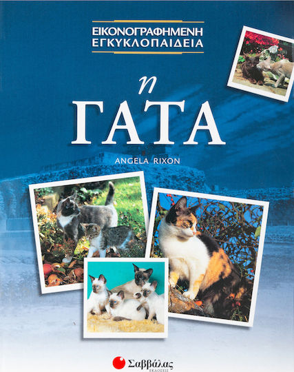 Η γάτα Η γάτα