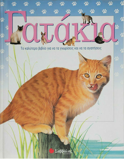 Γατάκια, Das beste Buch, um sie kennen und lieben zu lernen