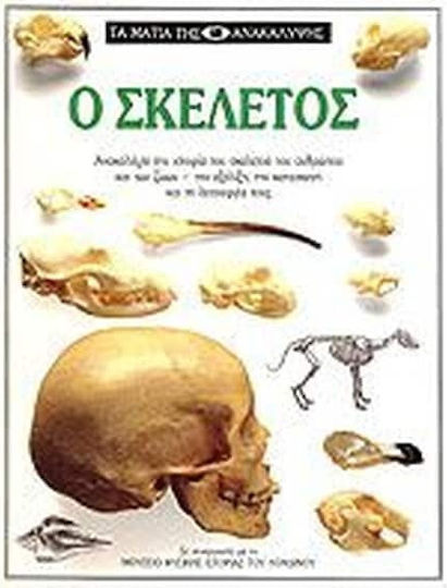 Ο σκελετός Ο σκελετός