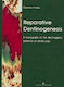Reparative Dentinogenesis