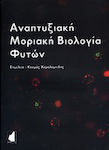 Αναπτυξιακή μοριακή βιολογία φυτών