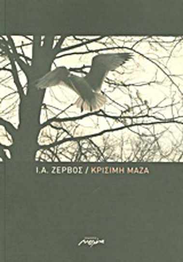Κρίσιμη μάζα Κρίσιμη μάζα