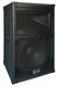 Peavey SP-2 Passive Speaker PA 500W with Woofer 30"