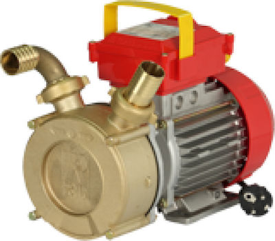 Rover Pompe BE-M 40 Single Phase Transfer Pump with 1-1/2" Inlet and 1.2hp Horsepower