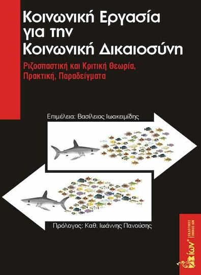 Κοινωνική εργασία για την κοινωνική δικαιοσύνη, Ριζοσπαστική και κριτική θεωρία, πρακτική, παραδείγματα