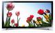 Samsung Smart Fernseher 32" UE32F4500AW HDR