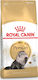 Royal Canin Persian Dry Food for Adult Cats with Poultry 2kg