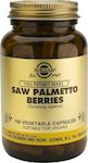 Solgar Saw Palmetto Berries Συμπλήρωμα για την Υγεία του Προστάτη 520mg 100 φυτικές κάψουλες