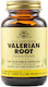 Solgar Valerian Root 100 вегетариански капсули