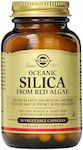 Solgar Oceanic Silica 25mg 50 veg. Kappen 033984025707