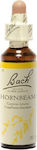 Bach Hornbeam Ανθοΐαμα σε Σταγόνες 20ml