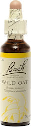 Bach Wild Oat Ανθοΐαμα σε Σταγόνες 20ml