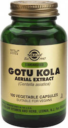 Solgar Standardized Gotu Kola Aerial Extract Готу Кола 100 x 1 растителни капсули