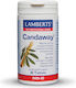 Lamberts Candaway 60 ταμπλέτες
