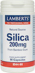 Lamberts Silica 200mg 90 κάψουλες