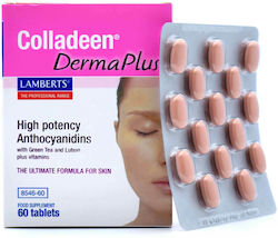 Lamberts Colladeen Derma Plus