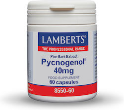 Lamberts Pycnogenol 40mg 60 Capsules