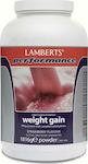 Lamberts Performance Weight Gain Molkenprotein mit Geschmack Strawberry 1.816kg