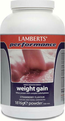 Lamberts Performance Weight Gain Molkenprotein mit Geschmack Strawberry 1.816kg