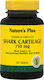 Nature's Plus Shark Cartilage 60 Registerkarten