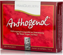 Masqueliers Συμπλήρωμα Διατροφής 30 Κάψουλες Masqueliers Συμπλήρωμα Διατροφής 30 Κάψουλες