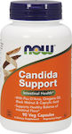 Now Foods Candida Support fără Gluten 90 capsule veget