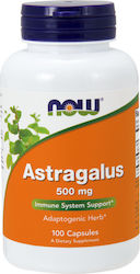 Now Foods Astragalus 500mg 100 κάψουλες