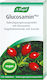 A.Vogel Glucosamine Plus Supplement for Joint and Bone Health 60 Capsules