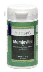 Metapharm Vitosyn Mumjovital Supplement for Immune Support 60 caps MET5086