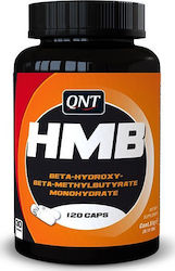 QNT HMB 120 Capsules QNT HMB 120 Capsules