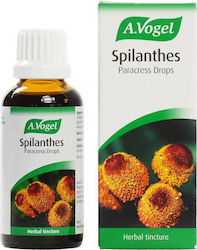 A.Vogel Spilanthes Drops 50ml