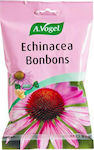 A.Vogel Echinacea für trockenen Husten glutenfrei 75gr