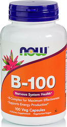 Now Foods B-100 Vitamin for Energy, Hair & Skin 100 caps