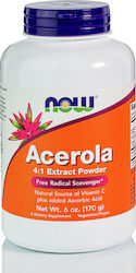 Now Foods Acerola Vitamin for Energy & Immune System Boost 170mg Orange 170gr