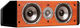 Polk Audio CS10