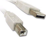 Roline 3m USB 2.0 Cable A-Male to B-Male Gray (S3103-100)