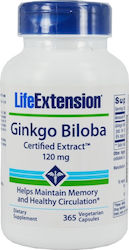 Life Extension Ginkgo Biloba Zertifizierter Ext...