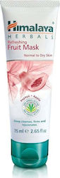 Himalaya Wellness Gesichtsmasken Creme