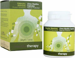 PharmaQ MastihaTherapy Chios Mastic 90 caps
