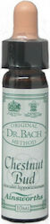 Ainsworths Цветна Есенция Кестенови Пъпки 10ml