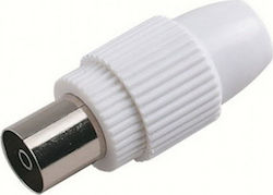 Plug Coaxial female Whitr